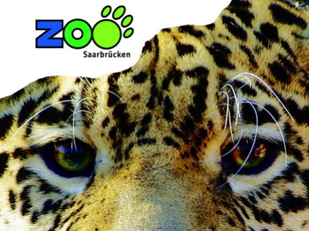 Das Saarbrücker Zoobuch (Foto: Zoo Saarbrücken)