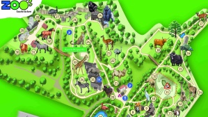 Plan du zoo