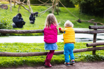 Kinder im Zoo (Foto: famveldman/fotolia)