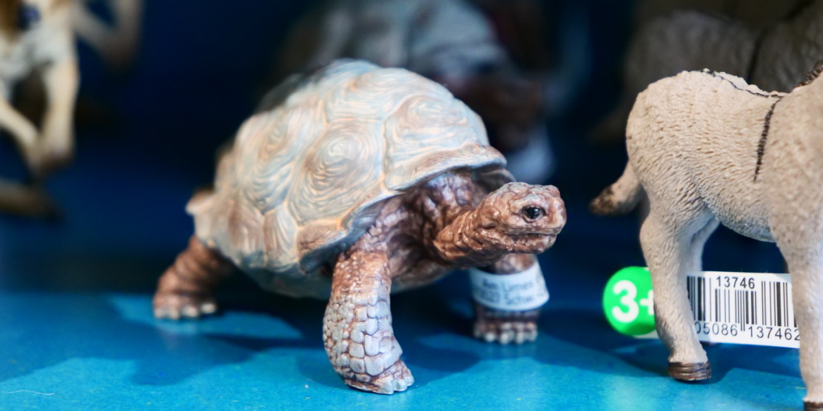Eine Schildkröte der Firma Schleich Eine Schildkröte der Firma Schleich in Großaufnahme