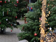 Eindrücke vom Adventsmarkt 2023 im Saarbrücker Zoo sind zu sehen.