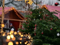 Eindrücke vom Adventsmarkt 2023 im Saarbrücker Zoo sind zu sehen.