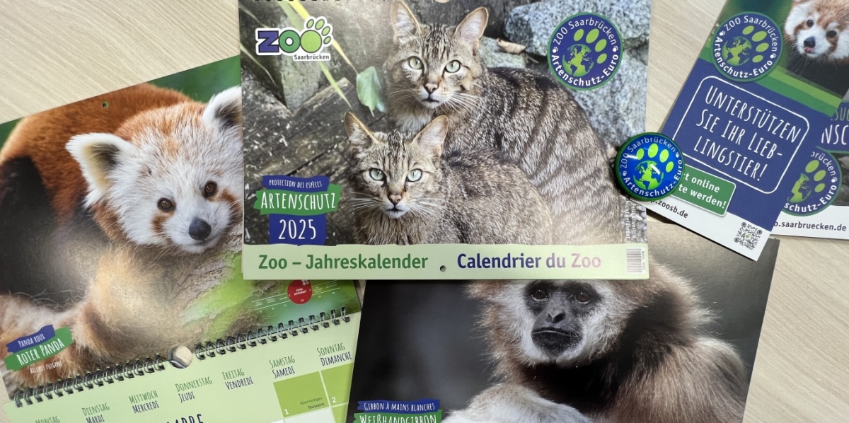 Der neue Zookalender für 2025 ist zu sehen.