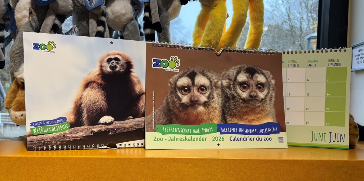 Der neue Zookalender für 2026 ist zu sehen.