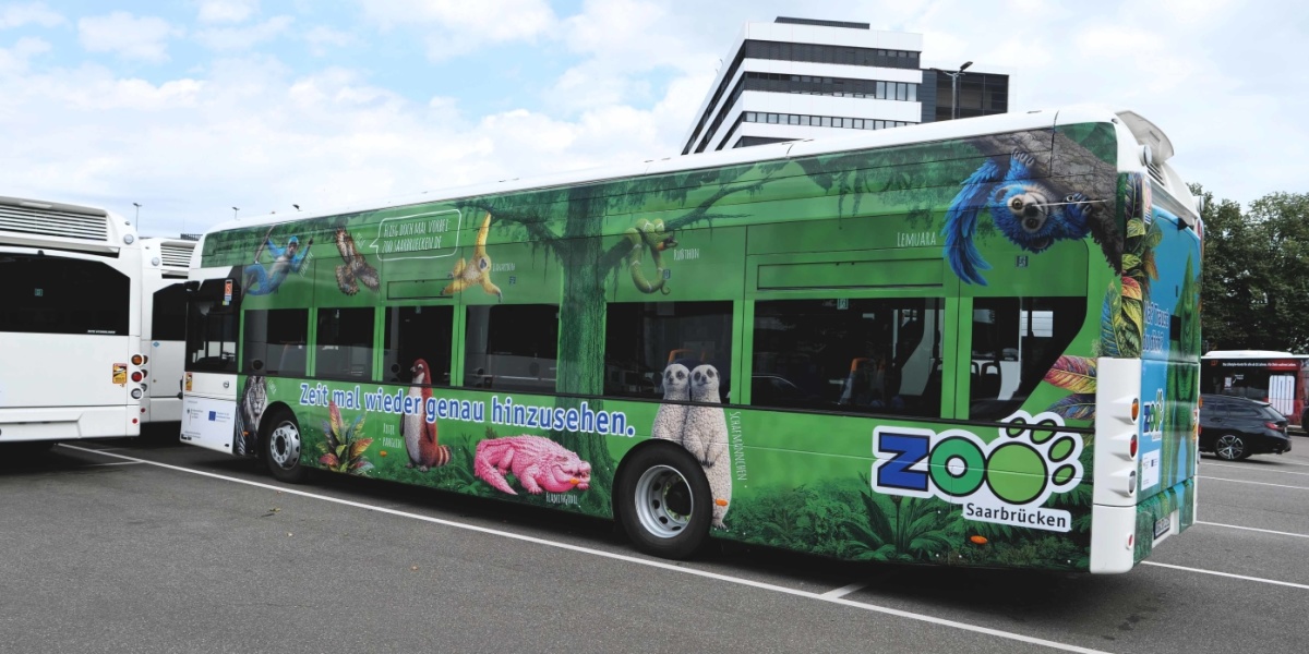 Einer der neuen Wasserstoffbusse der Saarbahn GmbH fährt mit dem neuen Zoomotiv.